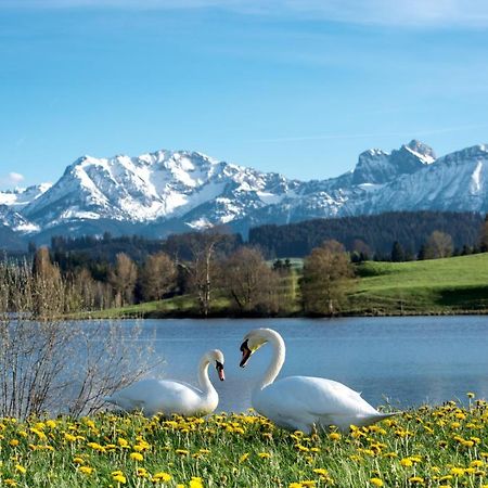 Direkt Am See Mit Bergblick 希格 外观 照片